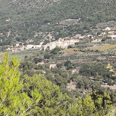 A L'Oree Des Oliviers Venterol  المظهر الخارجي الصورة